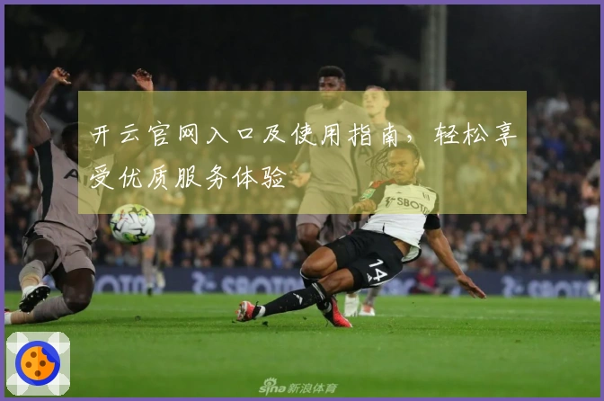 开云官网入口及使用指南，轻松享受优质服务体验