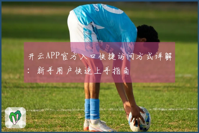 开云APP官方入口快捷访问方式详解：新手用户快速上手指南