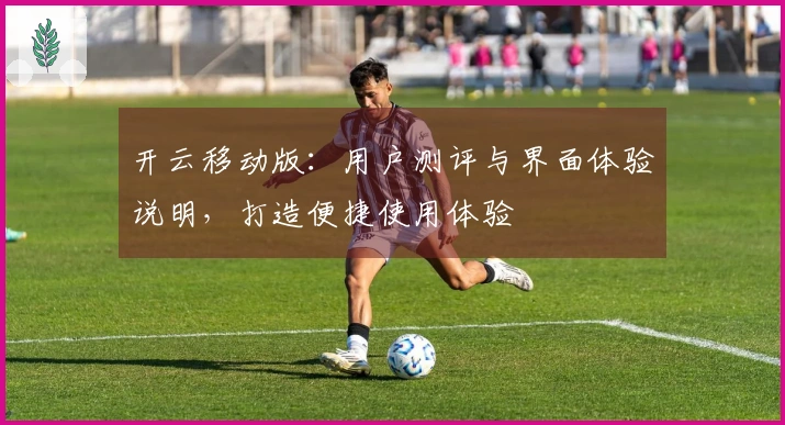 开云移动版：用户测评与界面体验说明，打造便捷使用体验