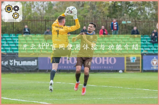 开云APP官网使用体验与功能介绍